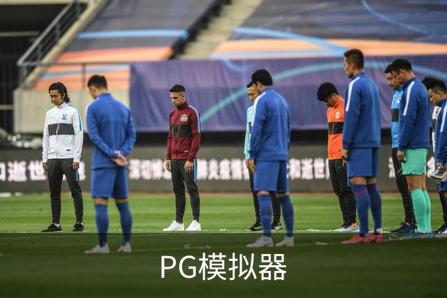 PG模拟器公司简介展示图